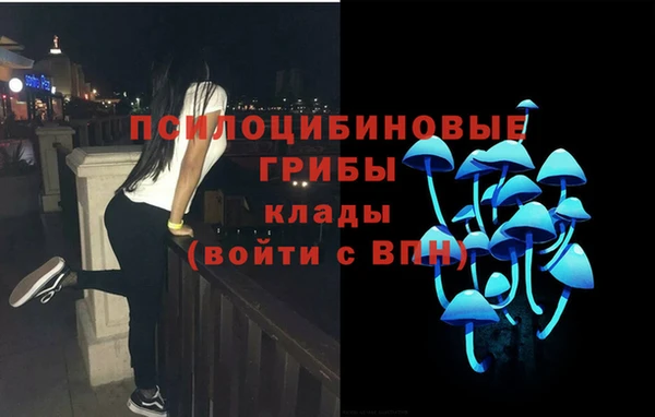 хмурый Балахна