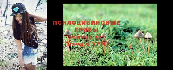 хмурый Балахна