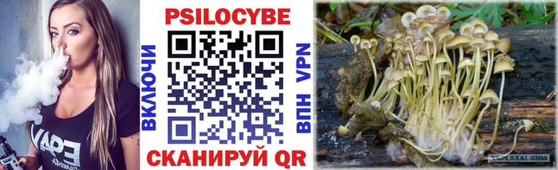 Псилоцибиновые грибы MAGIC MUSHROOMS  площадка клад  Боровичи 